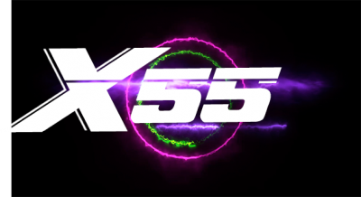 logo_x55